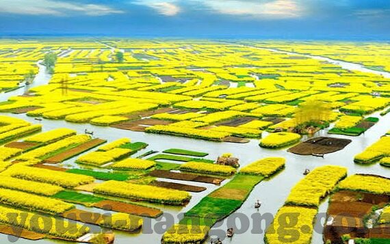 第五人格九游版下载-当虚拟与现实交织，第五人格九游版下载的魅力探索